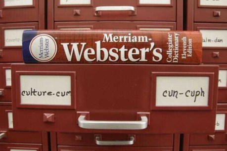 Merriam-Webster reveals 2023 word of the year