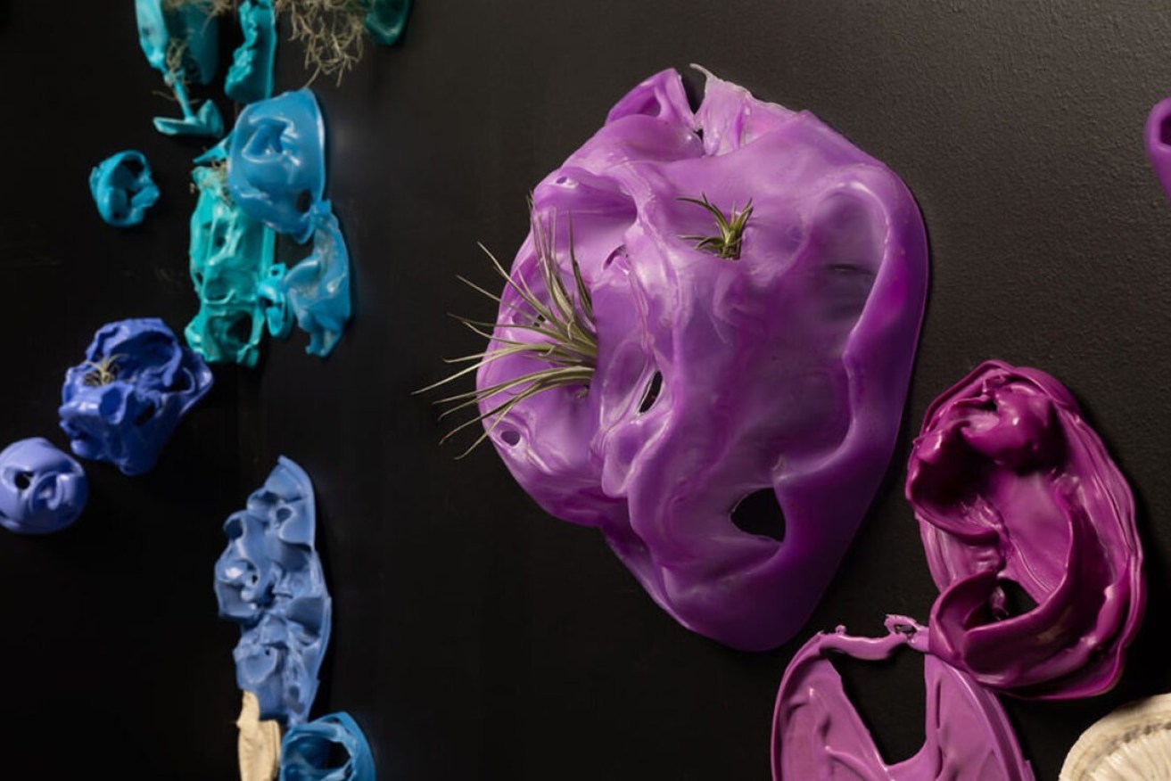 Tahlia Hieatt, 'Vessel Vibrosa', plastic food and drink containers, air plants. Photo: James Field / supplied