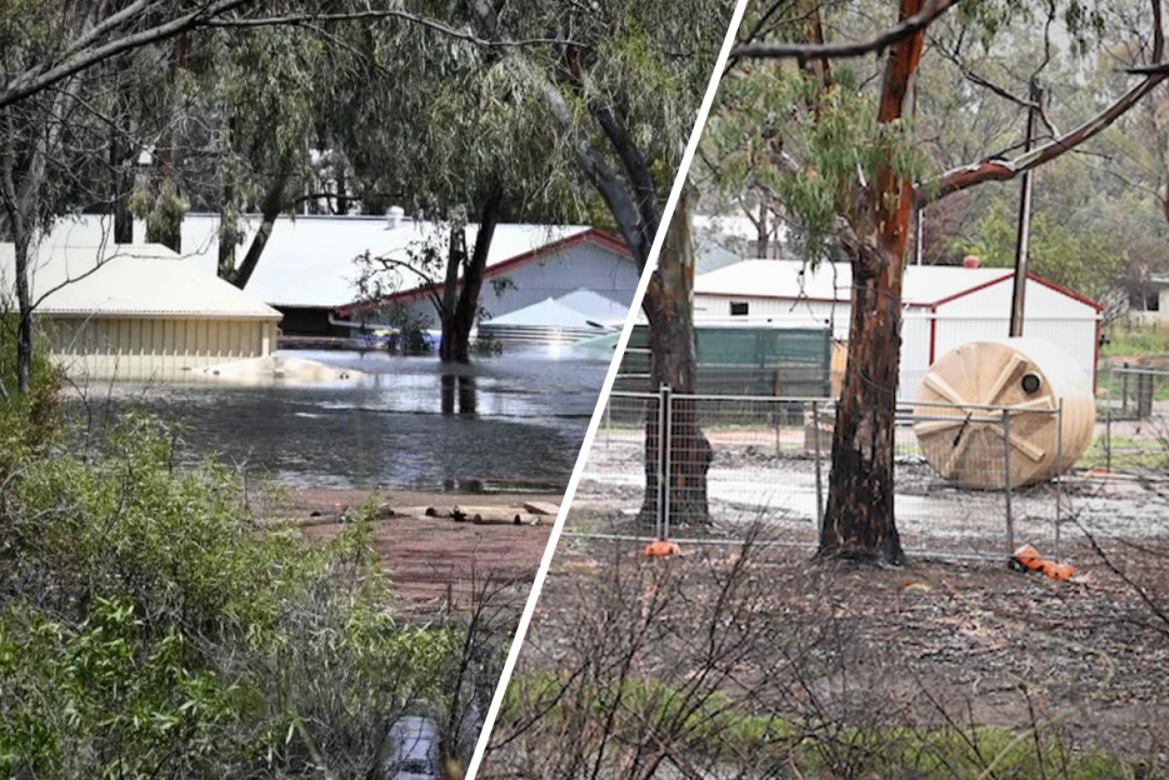 Blanchetown Caravan Park during the flood (left) and the clean up continues this week. Photos: Belinda Willis/InDaily