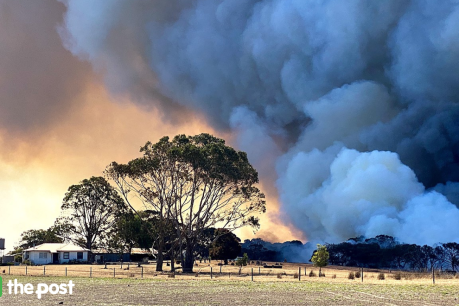 Five steps to get bushfire ready – even if you live in the suburbs