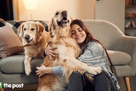 Landmark reforms rewrite rules for renters (and their pets!)