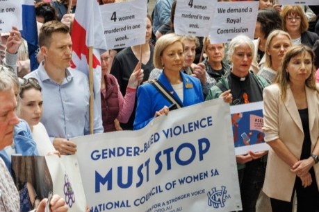 SA to hold domestic violence Royal Commission