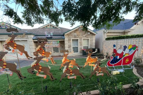 Adelaide’s tale of tradies, relics and Rudolph the retail reindeer
