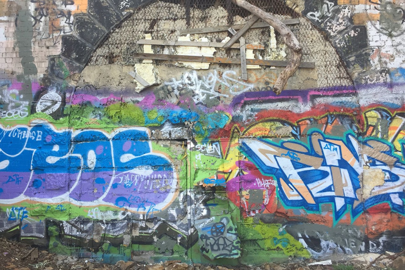 The vandalised exterior of a tunnel at Eden Hills in 2019. Photo: InDaily
