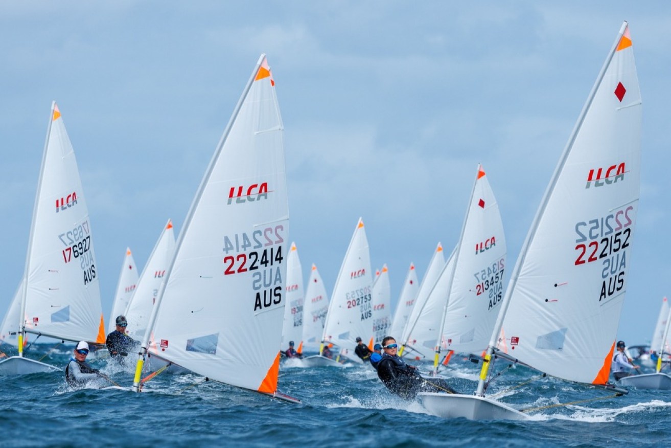 The ILCA 7 World Championships, an Olympic qualifier event, is being held in Adelaide next week. Photo: Jack Fletcher, Down Under Sail