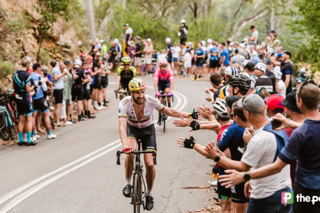 Your guide to the 2024 Santos Tour Down Under