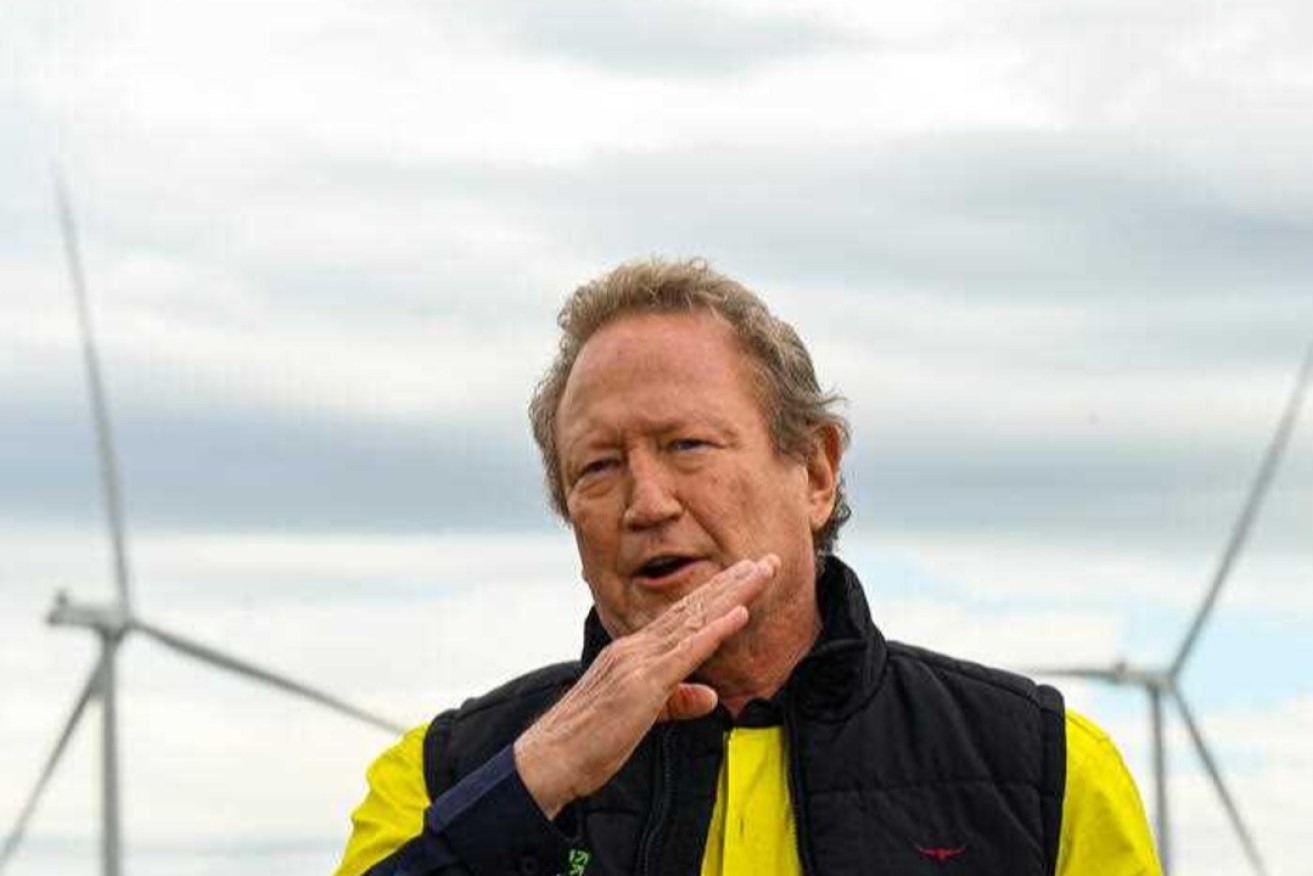 Andrew Forrest says its important to immediately invest in Australia's green energy transition. Photo: AAP Image/Lukas Coch