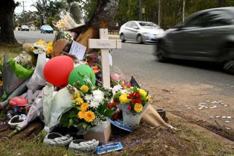 Call to reveal more data amid grim road deaths tally