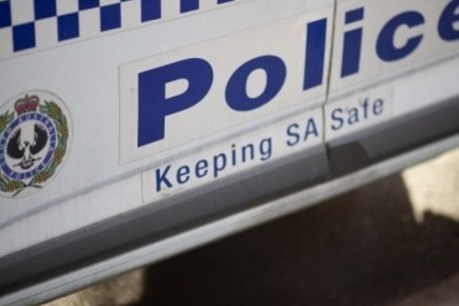 Teenager shot at Adelaide home