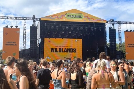 Wildlands’ local stage a highlight of new year’s first festival weekend