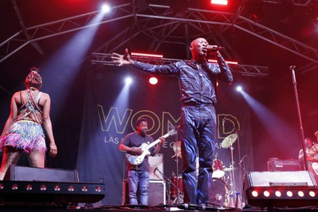 Afrobeat star completes 2024 WOMADelaide line-up
