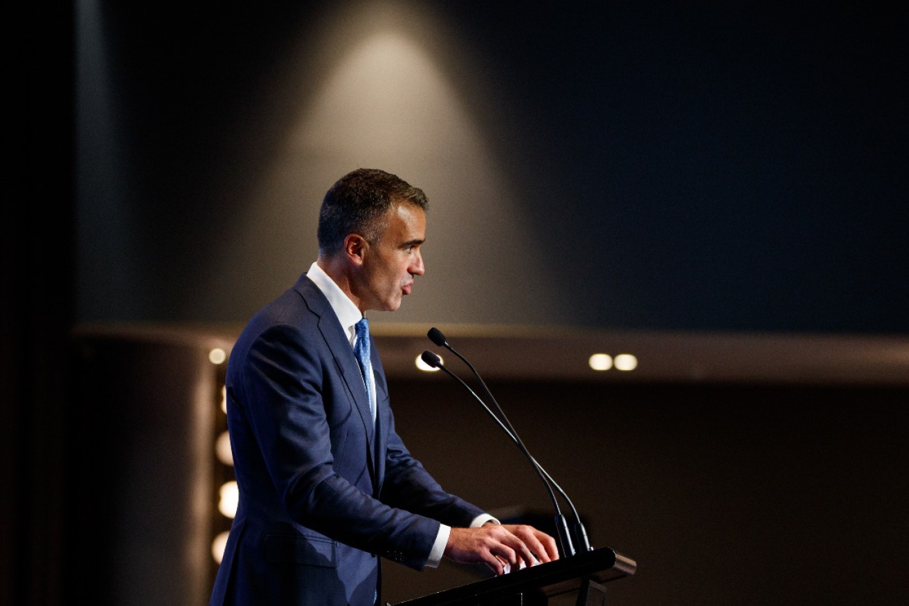 What is this is as good as it gets for Premier Peter Malinauskas's government? Photo: AAP/Matt Turner