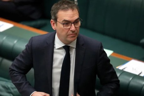 Steven Marshall to resign from parliament