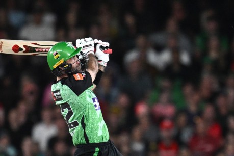 Glenn Maxwell under scrutiny after Adelaide night out goes wrong