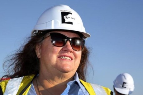 The IPA is taking Gina Rinehart for a ride down the garden path