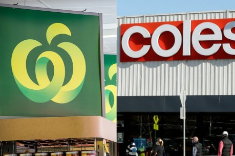 PM warns Coles, Woolworths that ‘public opinion matters’ over price gouging claims