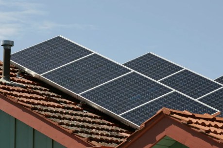 Rooftop solar powers New Year electricity record