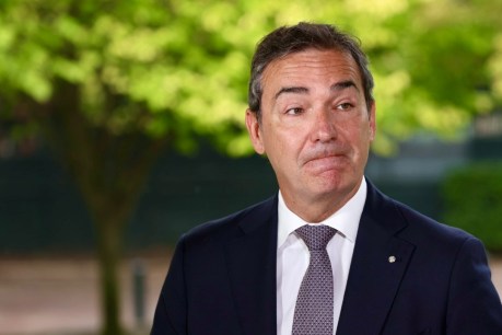 ‘Time for new challenges’: Steven Marshall’s last day in parliament