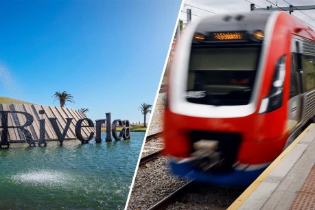 Transport Minister backs Riverlea rail link – but says more population growth needed