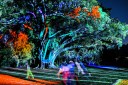 Natural Wonders lights up Adelaide Botanic Garden