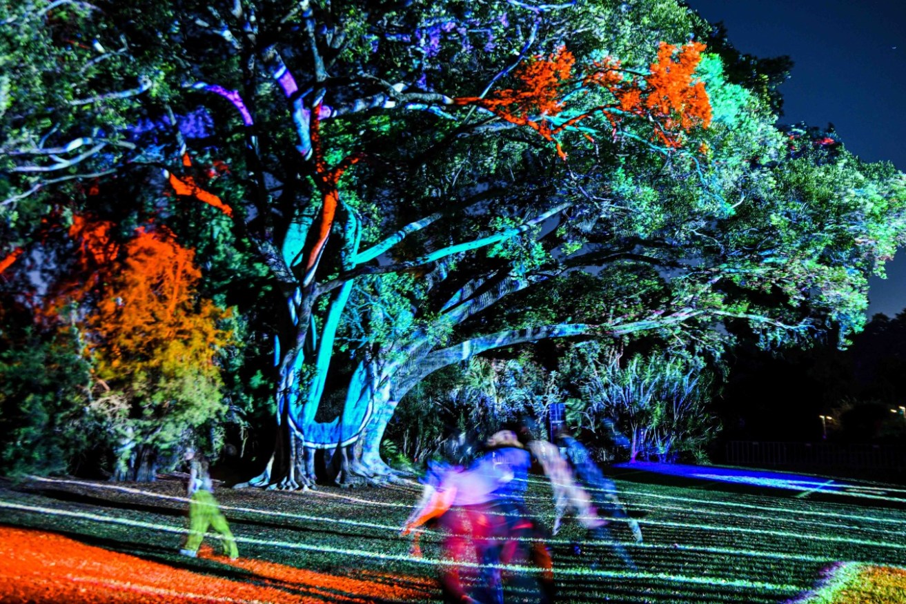 Natural Wonders lights up the Adelaide Botanic Garden trees. Photo: Jack Fenby / InReview