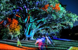 Natural Wonders lights up Adelaide Botanic Garden