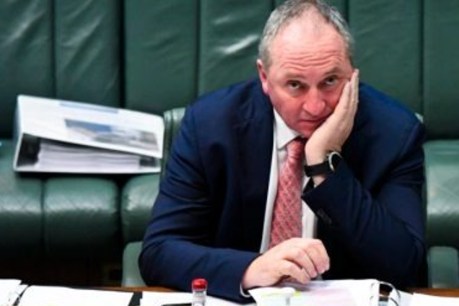 Barnaby Joyce asked to take leave after he ’embarrassed himself’