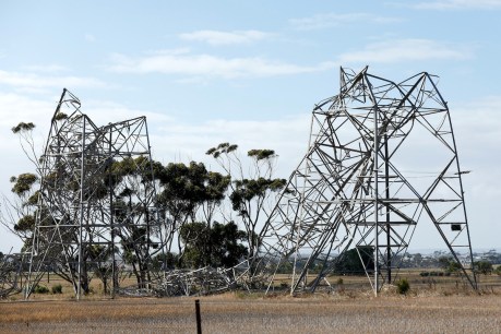 Transmission towers toppled as Victoria endures blackouts and bushfires