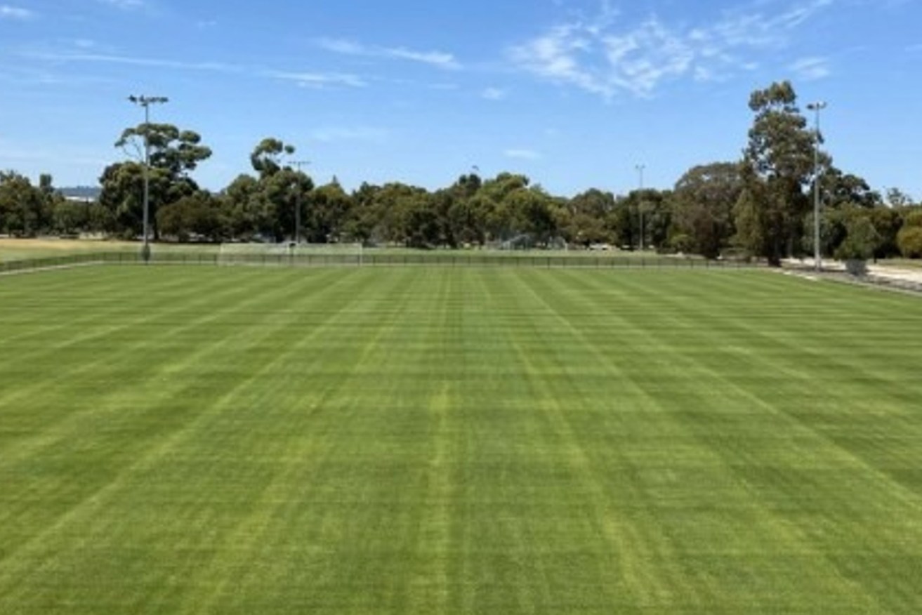 Readers query why Adelaide City councillors knocked back a bid for a 1 metre high fence around the Adelaide Comets soccer pitch in Ellis Park against administration advice, with gates open for public access when matches aren't being played.