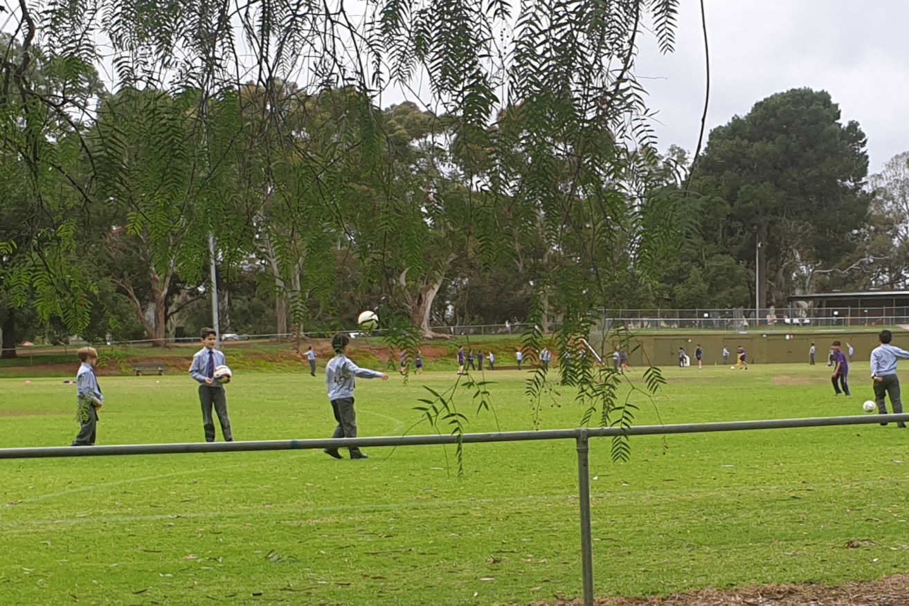 King Rodney Park / Ityamai-itpina (Park 15). This picture: Adelaide City Council's Park Land Authority