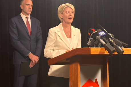 Ex-senator to lead South Australia’s domestic violence inquiry