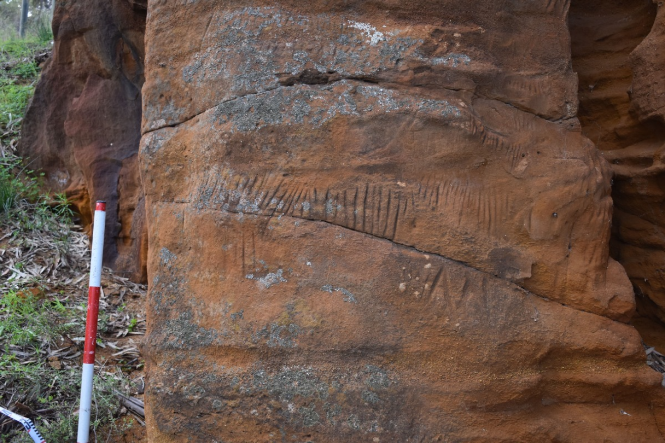 Thurk petroglyphs. Photo: Courtesy of the River Murray and Mallee Aboriginal Corporation