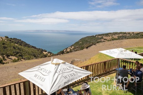 1153 Cape Willoughby Road, Cuttlefish Bay