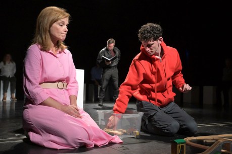 Theatre review: The Curious Incident of the Dog in the Night-Time