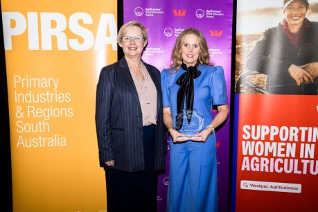 Wooing them with wool: Meet SA’s AgriFutures Rural Women’s Award winner