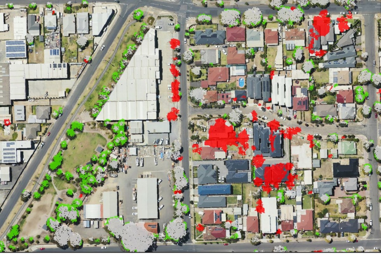 Adedlaide's tree canopy gain is shown in green and loss in red. This new strategy outlines how to do better. Image: Green Adelaide 