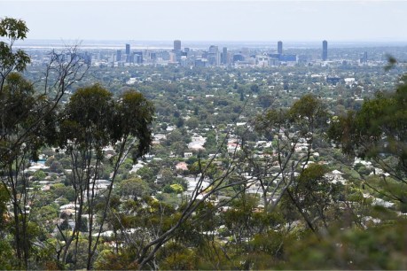 Adelaide City Council set to lose ‘carbon neutral status’
