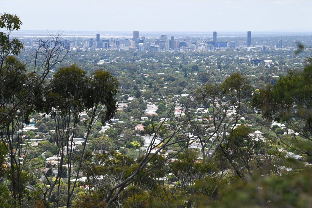 Adelaide's cityscape. This picture: Green Adelaide 