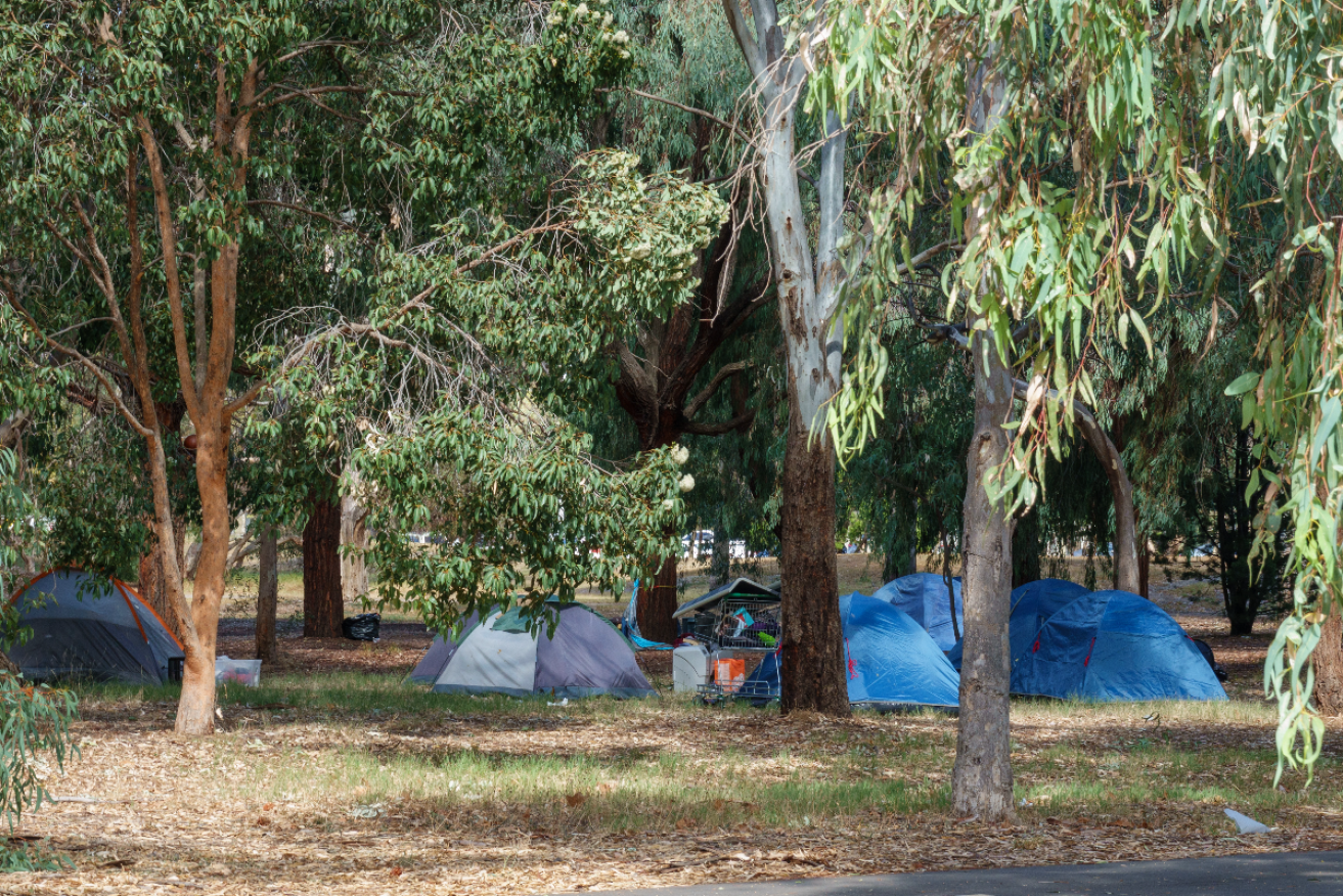 Homeless camp in south park lands in April 2024. Photo: Tony Lewis/InDaily 