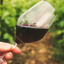 <p>Global wine consumption fell to its lowest level since 1996 last year as inflation sent prices to record highs, deterring consumers already facing lower spending power.</p>
