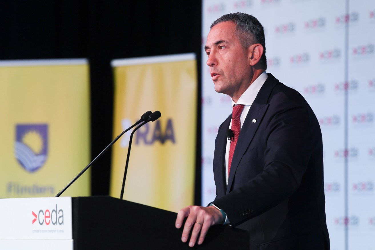 Energy Minister Tom Koutsantonis made the case for reintroducing a carbon tax at the CEDA renewables forum yesterday. Image: supplied.