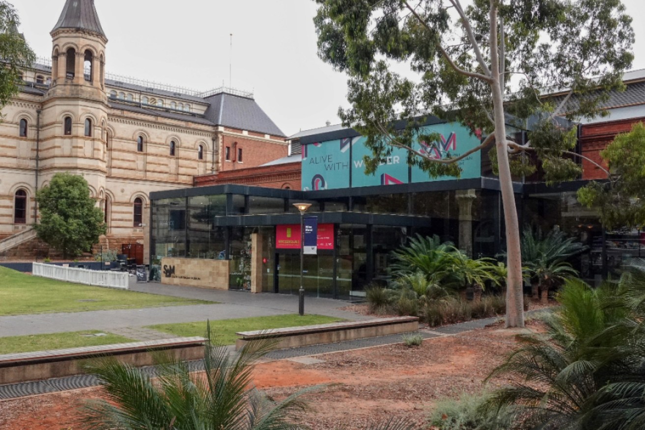 The Statutory Authorities Review Committee has voted to establish an inquiry into the South Australian Museum and the Art Gallery of South Australia. Photo: Tony Lewis/InDaily