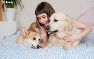 Landmark rental reforms kick in for renters (and their pets!)