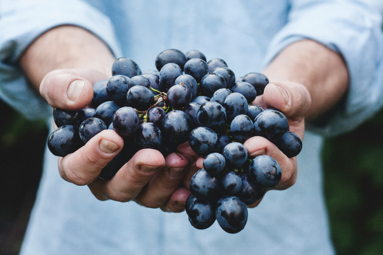 There have been numerous supports announced for the Riverland wine industry, but are they helping? Photo: Unsplash