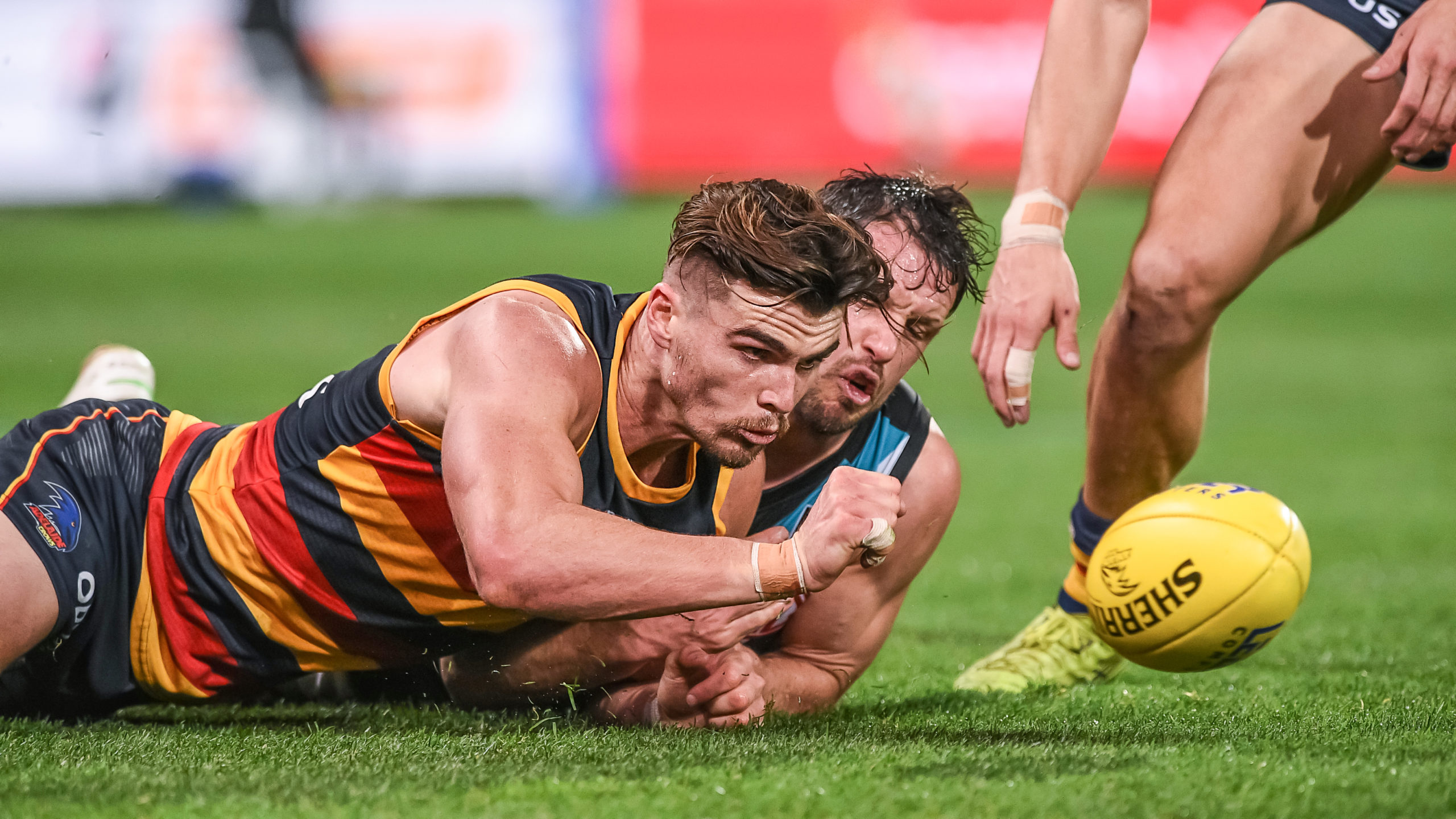 Keays O Brien joins Crows leadership group InDaily