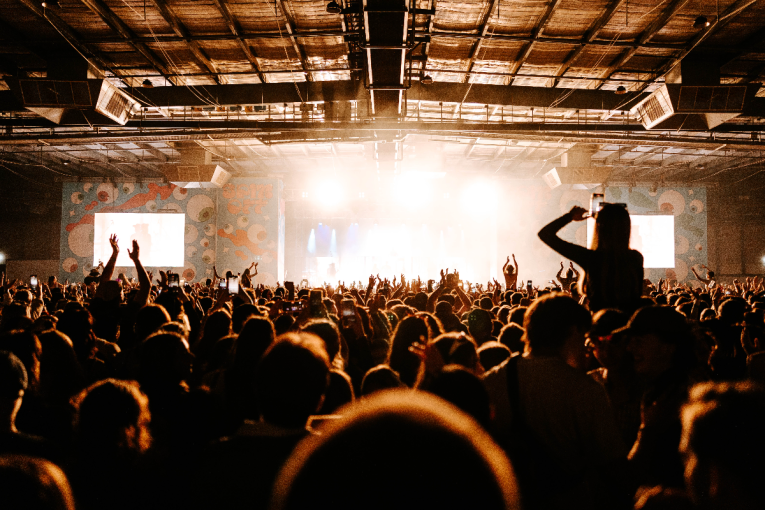 A crowd at Adelaide music festival Spin Off